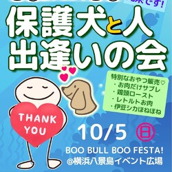 ブーブルブーで保護犬会＠横浜八景島