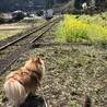 San Arinさん