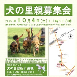 「犬の合宿所in高槻」の里親募集会