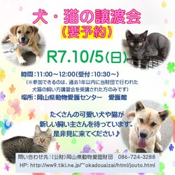 犬・猫の譲渡会