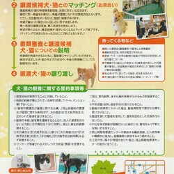 犬・猫の飼い方講習会・譲渡会 サムネイル3