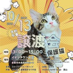 保護猫譲渡会（予約不要）