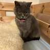 少しずつだけど、距離が縮まってきてる感じです。ゆっくりゆっくりね