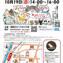 保護猫譲渡会@寝屋川市