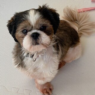 陽キャだけどまだまだ発展途上な女の子