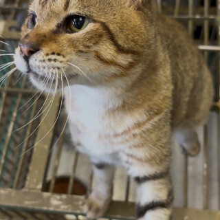 再投稿！人懐っこい子です