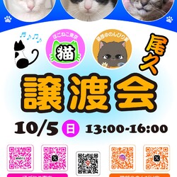 ほごねこ東京譲渡会＠尾久