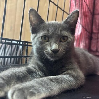 チームS甘えん坊瑠流ちゃん。