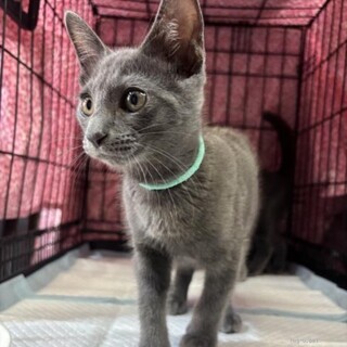 チームS 甘えん坊 瑠生くん