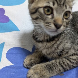 マイペースなこたろー君