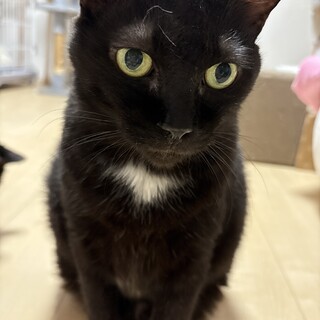 安心できる環境を