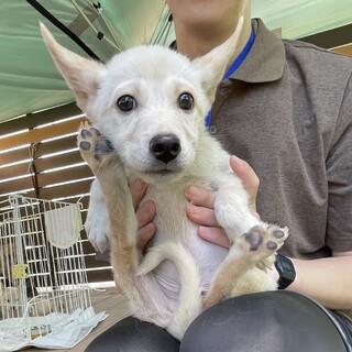 大きいお耳のハンサム《ナル》くん