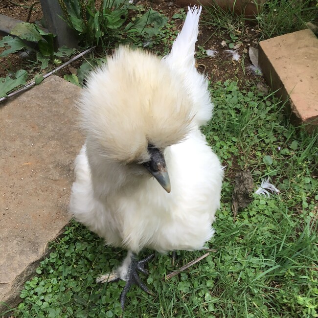 ハサウェイのカバー写真