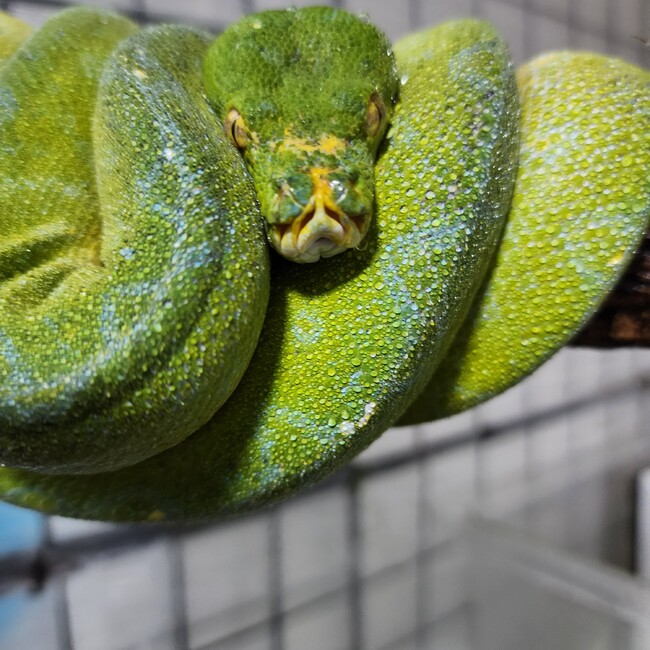 Yassie1229のカバー写真