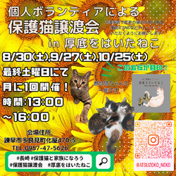 長崎の個人ボランティアによる保護猫譲渡会　9月