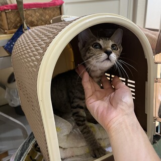 お腹がドット柄‼︎フレンドリーな女の子