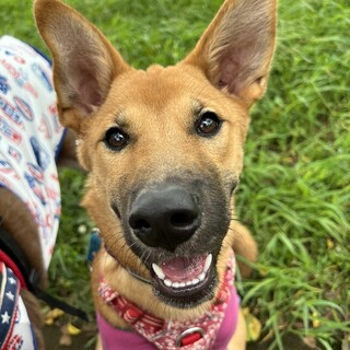 おちゃめな まつりちゃん