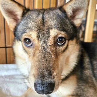 怖いことが多いけど頑張る優しい男子のぶき