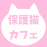 保護猫カフェfunnyCa...（保護活動者）