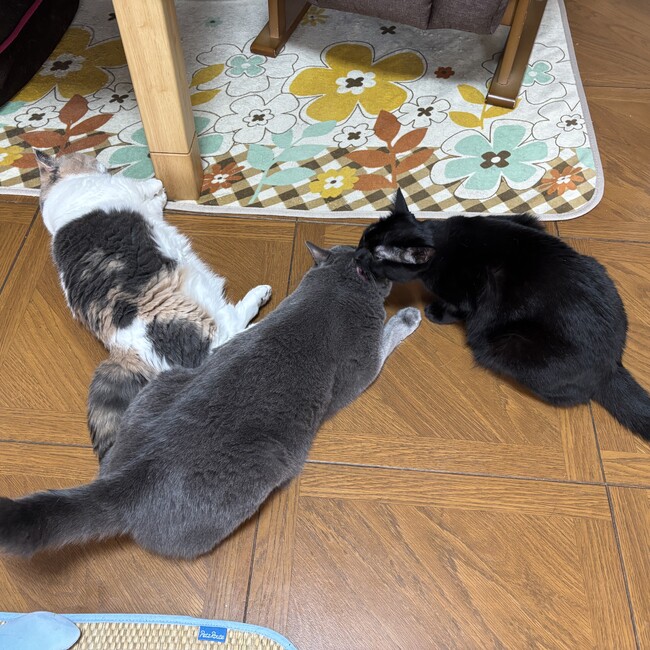 西裕のカバー写真