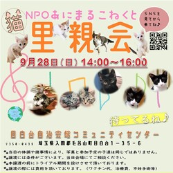 あにこね里親会