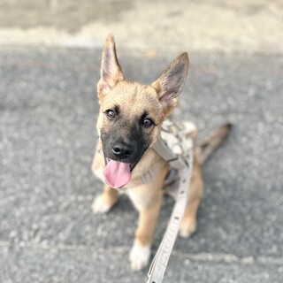 マリノア風！？可愛すぎるアッシュくん！