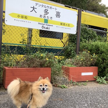 2019 9/26 いすみ鉄道にて