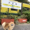 2019 9/26 いすみ鉄道にて