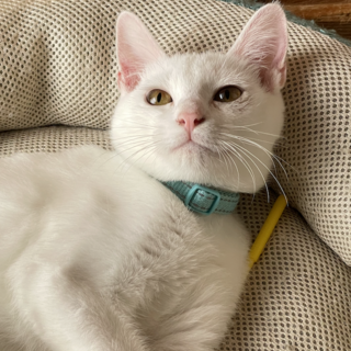 お気楽★ごぉ君★超甘えた