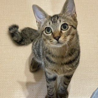 慎重派★しん君★超甘えた