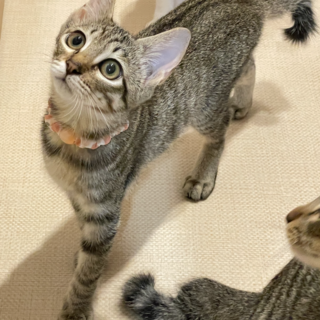  すりすり〜★じゅ〜★ごろごろ〜 