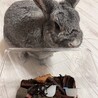 鼻炎