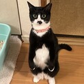 白玉を履いたまんまるお目目の女の子
