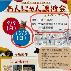 わんにやん譲渡会