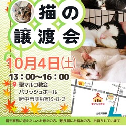 10月4日猫にゃんネットワーク府中さん譲渡会へ参加