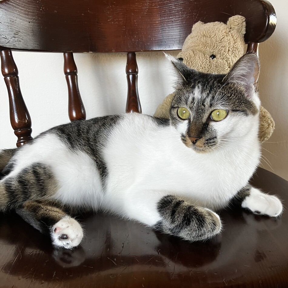 はるのカバー写真