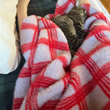 朝起きたらこれ笑