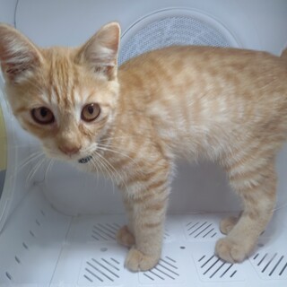 甘えん坊とは僕のこと！ジュチ君♡