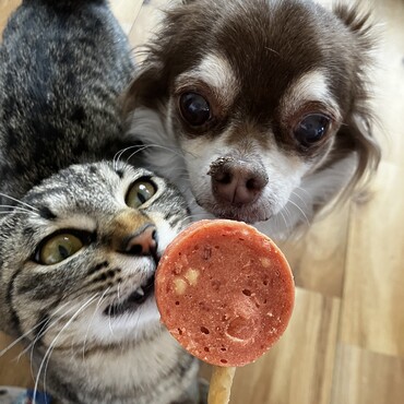 あめちゃんもほしいのね笑