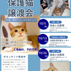 保護猫譲渡会　名古屋市千種区　初開催！