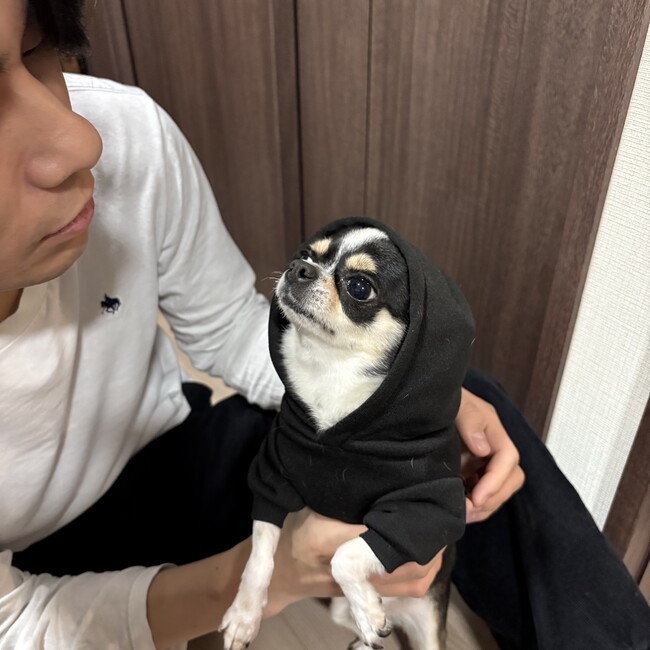 たおおのカバー写真