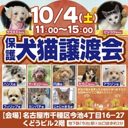 10/4(土)今池で犬猫合同の譲渡会を開催します！