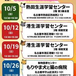 ▼猫の譲渡会▼名古屋市熱田区