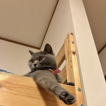 脚、ぴーん。