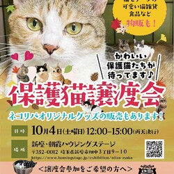 保護猫譲渡会@新座・朝霞ハウジングステージ