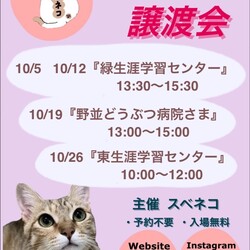 猫の譲渡会 10/5（日）緑生涯学習センターで開催