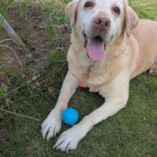 甘えたな女の子