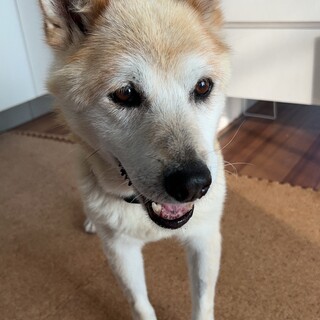 癒してもらえる乙葉ちゃん