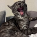 終了