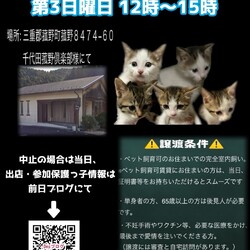 譲渡会＆チャリティーフリマ